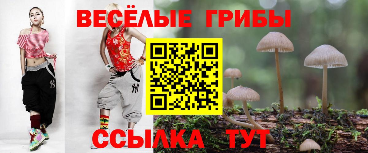Усть-Илимск  Галлюциногенные грибы Psilocybine cubensis  Вход с VPN 